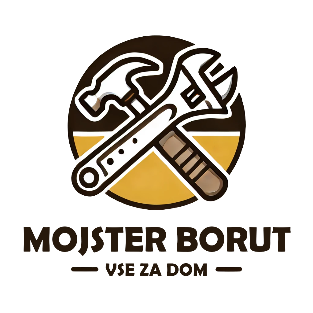borut transparent logo footer